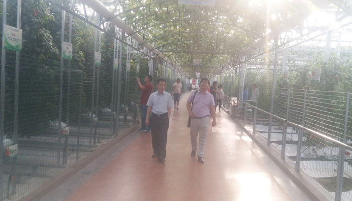 竞赛组委工作人员到潍坊科技学院调研考察
